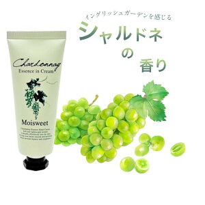 e CXEB[g GbZX C N[ Vhl̍ 40g