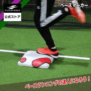 y tB[htH[X zx[X}[J[ FBSMK-300 x[XjO 싅 g[jO `[ N싅 Z싅 w Љl d싅 싅  K XpCN \
