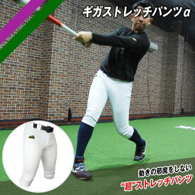 ★公式限定★ ユニフォーム1位【 フィールドフォース 】 野球 ユニフォーム トレーニングパンツ パンツ 練習着 ギガストレッチパンツα 一般用