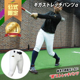 ★公式限定★ ユニフォーム1位【 フィールドフォース 】 野球 ユニフォーム トレーニングパンツ パンツ 練習着 ギガストレッチパンツα 一般用