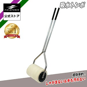 yV1ʁytB[htH[X zzg{ FWT-1128 싅  d \tg{[ gp\ RpNg