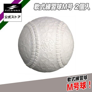 ytB[htH[XzK M 싅{[ FNB-722MN 2 싅 {[ {[ K sb`O obeBO K w싅 싅 Kp