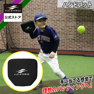 y tB[htH[X z nhobg FHBAT-2020 싅 obeBO XCO g[jO obg ŌK Ō Ўł S X^[^[ w싅