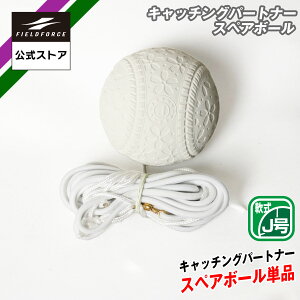 yV1ʊlytB[htH[XzLb`Op[gi[p XyA{[ FCP-400SP 싅 K tB[fBO w N  J K ߋK p[gi[sv J