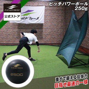 y tB[htH[X zsb`p[{[250g FWETB-250 g[jO ؃g tBWJ 싅 sb`[  ߎ  O X[CO sb`O  K vCI {[