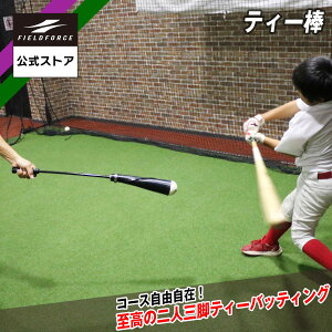 y tB[htH[X z eB[_ FTEB-780 싅 obeBO XCO eB[obeBO g[jO obg ŌK Ō