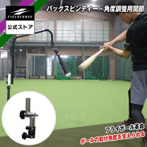 楽天市場】バックスピン ティーの通販
