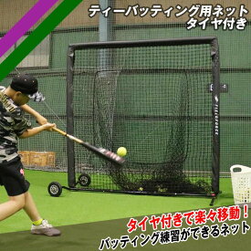★打撃1位獲得★【 フィールドフォース 公式】ティーバッティング用ネット タイヤ付き FBNT-2023WT 野球 トレーニング ティー バッティング 軟式 ソフトボール 軟球 硬式 硬球 対応 ダブルネット