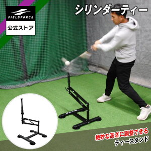 y tB[htH[X z V_[eB[ FBT-400 싅 obeBO XCO eB[obeBO g[jO obg ŌK Ō d  \tg{[ \  