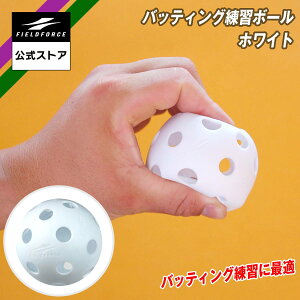 y tB[htH[X z obeBO K{[ FBB-2W FBB-20W FBB-50W{[ 싅 g[jO ŌK Ō `[ N싅 Z싅 w Љl  {[
