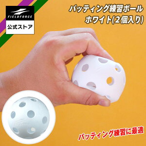 y tB[htH[X z obeBO K{[ FBB-2W {[ 싅 g[jO ŌK Ō `[ N싅 Z싅 w Љl  {[ 2