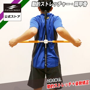 y tB[htH[X z IXgb`[ b FDS-8080KKK 싅 Xgb` g[jO }bT[W {fB eiX IXgb` K sb`O sb`[