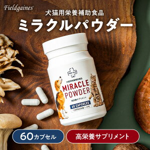 ~NpE_[ 60JvZ Lp  L Tv Tvg 畆 _ t ̑ Ɖu  ѕ P N H~  h{⋋ h{⏕