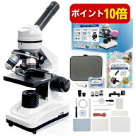 【本日P10倍】【スターターガイド付】単眼生物顕微鏡｜40X-1000X メカニカルステージ 上下LEDライト｜小…