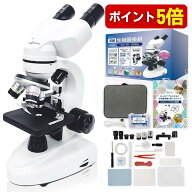 【本日P5倍】【楽天1位】 双眼生物 顕微鏡 40X-1000X メカニカルステージ 上下LEDライト 〈保証書 スター…