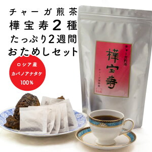  NK ~ zbg  mJtFC 2 Ղ2TԂ߂Zbg `[K i JomAi^P j  ق Y VAY ubN 100g eB[obO 5 