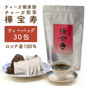  NK Ă̓ACX ~̓zbg mJtFC `[K  i JomAi^P j 20`1 VAY `K  eB[obO 30 30bg  `[K