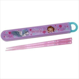 送料無料定形外郵便　代引き不可スケーター　ソフィア　スライド式箸箱セット　ABS2AM　キャラクター　女の子　子供用　子供用食器　箸　保育園　入園 子ども用箸