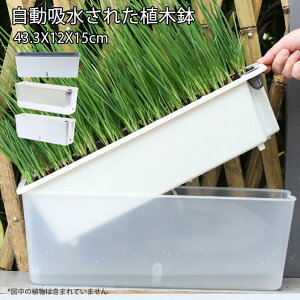 ��ʋ��� �� �~�j ���� �A�ؔ� 43.3X12X15cm �v�����^�[ �����z�� pp�v���� �����` ������ �r�����t�� ������ �����A�� ��c�|�b�g �ƒ�؉� ��� �[�^ �v���X�`�b�N �V���v�� �ϗt�A�� ���� ��