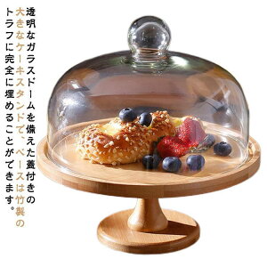 P[Lg[ a24.8cm   X^h t ؐ | AeB[N fU[g KXW P[LX^h JtF ؐ P[L