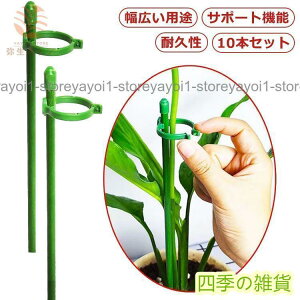   10{Zbg x 30cm 45cm 60cm 75cm | K[fjO ϗtA JőԂ|̂hp̂ Ԃ̍L