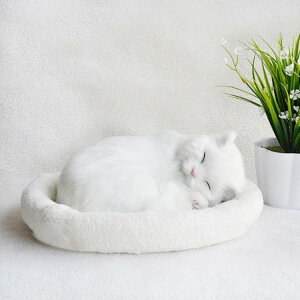 ċzĖ郊AȔL̂ʂ ˂ ʂ A {  ybg ₷▰ ㉺  ybgX xbht AM[   Aj}  Aj}