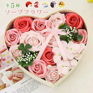 \[vt[  Mtg n[g{bNX ԑ AWg J[l[V o t[AWg v[g Vv[t[ ͂Ȃ  蕨 a j oYj