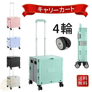 L[J[g ܂肽 Ki S  VbsOJ[g  e40L AEghA e ω׏d50kg LX^[t t^t