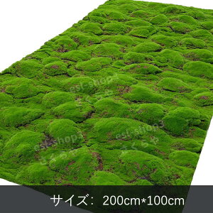 RuX lH ۃ}bg tFCNO[ lHA  Ő}bg