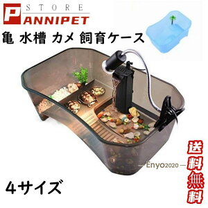 T̐ J̐ P[X {bNX ^[g^N ڂ ~hK NTK Xb| ώ@ rE Ki GTM   4TCY