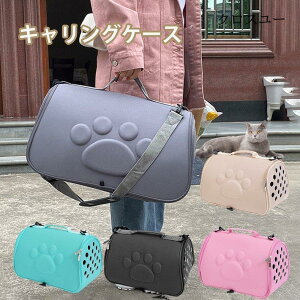 L[obO ܂肽݃\tgL[ OobO ܂݃L[P[X ybgobO ł \tgL[ ^ lR  ֗ S5F