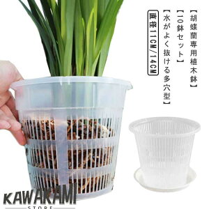 O t Ӓ Ӓ I[Lbh|bg 10Zbg  Aؔ Aؔ vX`bN ̔ Ӓ̐Aւ ϗtA  A m