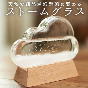 Xg[OX NEh D] Cیv KX G VC  TCGX Ȋw  fBXvC Fun Science 333-274 IuWF u CeAG