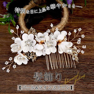   p[   50 a    񂴂20 40 30    60  