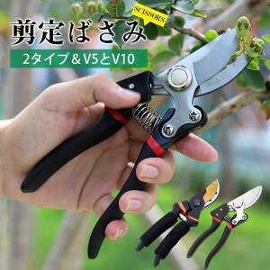  ΂ ΂  ͂ nT~   K[fjO K[f | }؂ bN    ƒ؉ 30mm 