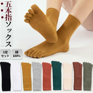 Cܖ{w\bNX ܖ{wC fB[X 3Zbg  C n \bNX JWA J[Lx r O tďH~ 