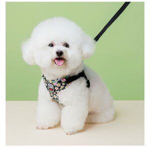  L n[lX a fUC K EFAn[lX ybg   Lbg hbO