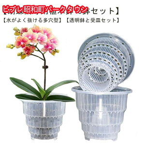  Ӓp ʋCQ Ӓp Ӓ̐Aւ h~ ^  Mt a12cm a15cm Aؔ vX`bN 