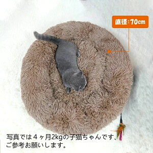 L xbh ӂӂ  h[ ybg ybgxbh ^ ^ ~ zc  L ybgpi lR xbh  ybgnEX Lxbh pxbh }bg NbV h   h