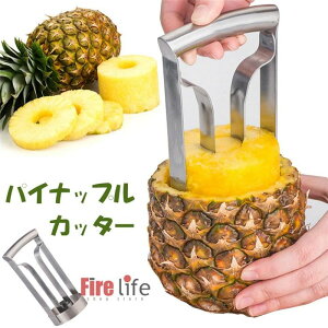 pCibvJb^[ XeX pCibvXCT[ ނ ʕ 甍@ ֗