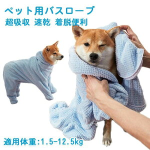 ybg oX[u poX^I z oX^I  Lp Lp^I ̐@ z  ^I ѕz C^I ybgp^I Cオ z j ̐@p^I