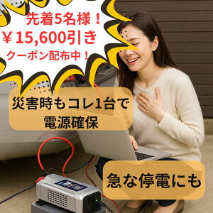 y撅5lIN[|zzIz 勴Y DC AC g Co[^[ 1500W No.2815 AEghA DCAC Lv Ԓ Ɠd pc X}z dq@ S RZg 2 h dCPg dC|b