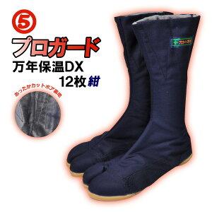 ᑦ ی H~ n Sn܃vK[h 12 ۉ h fB[X YvK[hNۉDX 12Rn[24.5-28.0cm  c藠{A Ռz Dt