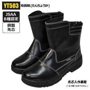 |cƌCyYT503zZC(񂿂傤)JSAA@B(yƗp)FcV[g^CvƌC