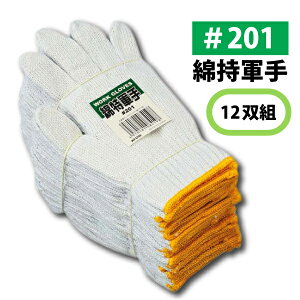 Agy201zȓR 1_[Xi12oj荠iŐlC̍ȍRłB