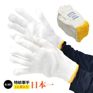 Vׁ NԑΉ yG-201z{R aR聜12o聜 zCgၦ݌Ɍ聦[124032]