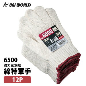 y6500z͎O{ҌR1_[Xi12oj