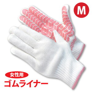 J`{V܁y004zSCi[@wlpisNjlR|X̏ꍇ6o܂ŉ