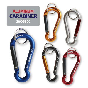 YƁ@SK11ySAC-880Cz A~Jri CS5F@肳̂Yɂ`lR|X̏ꍇ10`15܂ŉ[909091]