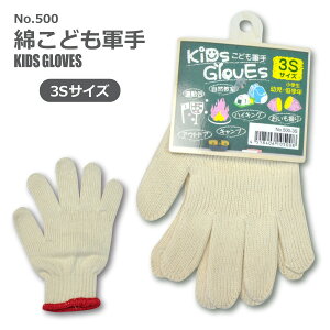 ၦ݌Ɍ聦 j[h y 500 z ȂǂR 3STCYlR|X̏ꍇ12o܂ŉ